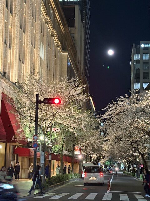 春は寂しい季節